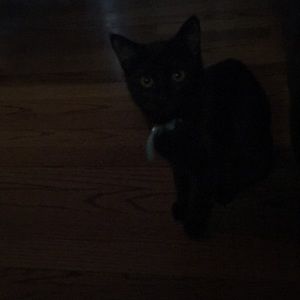 Meet your Posher, Maddy